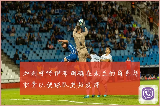 加利呼吁伊布明确在米兰的角色与职责以便球队更好发挥